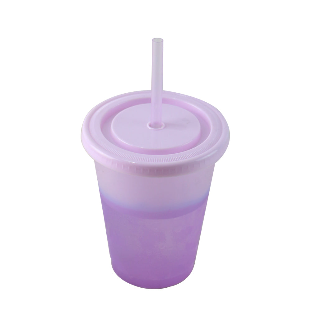 Bicolor purple reusable plastic cup with matching lid and straw, 16oz BPA free.